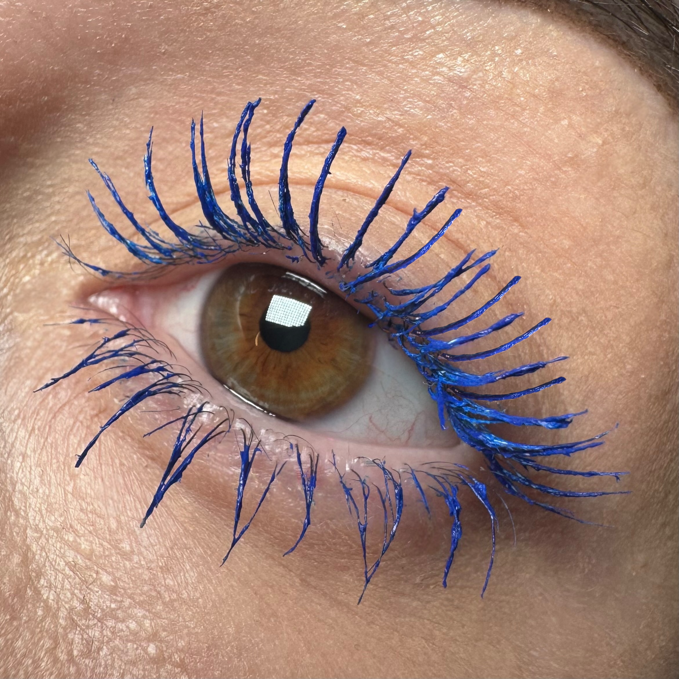 LashStudio™ - Midnight Flight