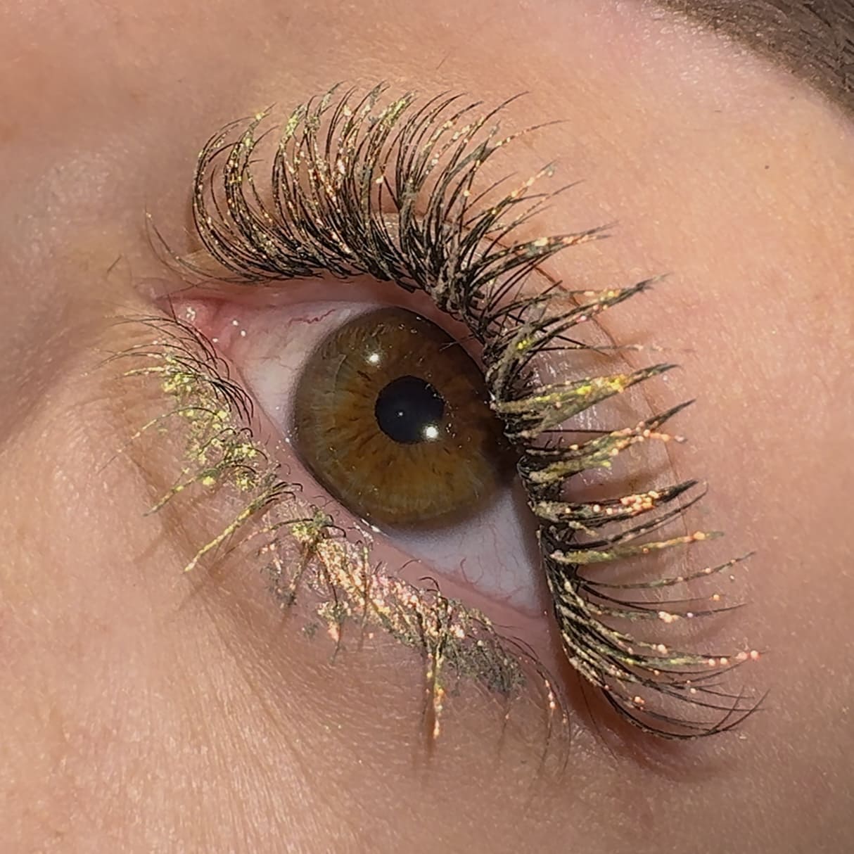 LashTrip™ - Dubai Showoff