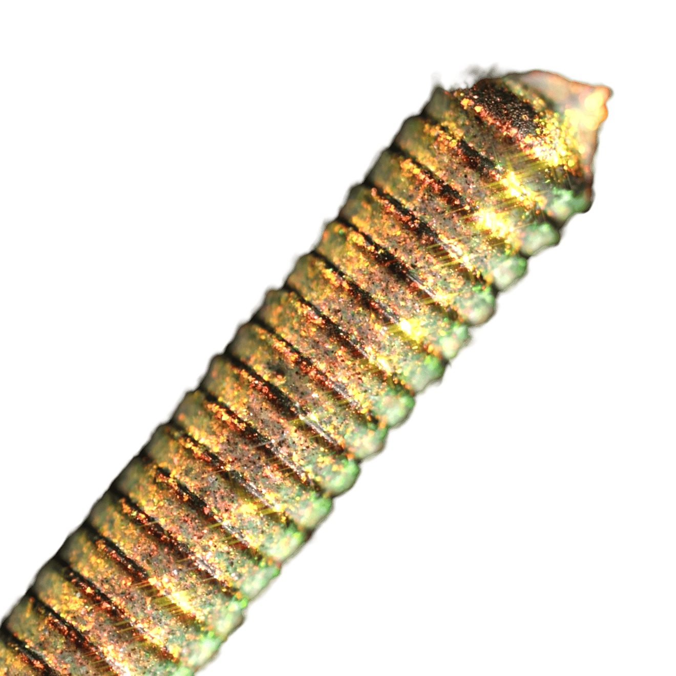 LashTrip™ - Dubai Showoff