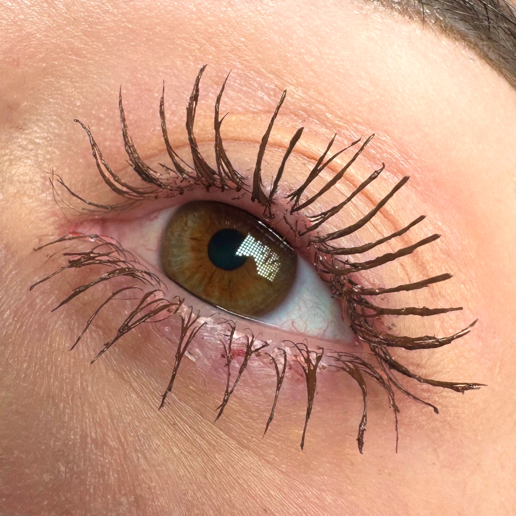 LashStudio - Business Class