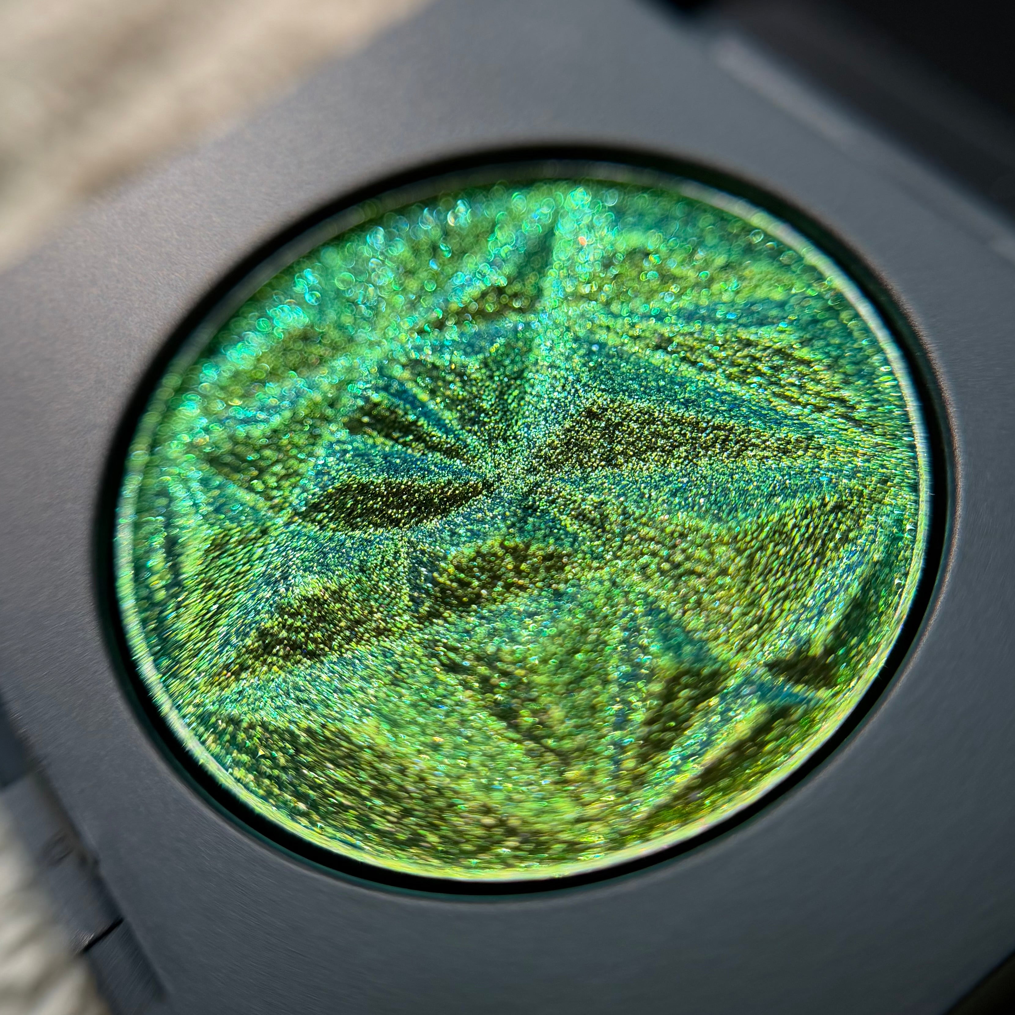 MultiShade™ – Toxic Charm