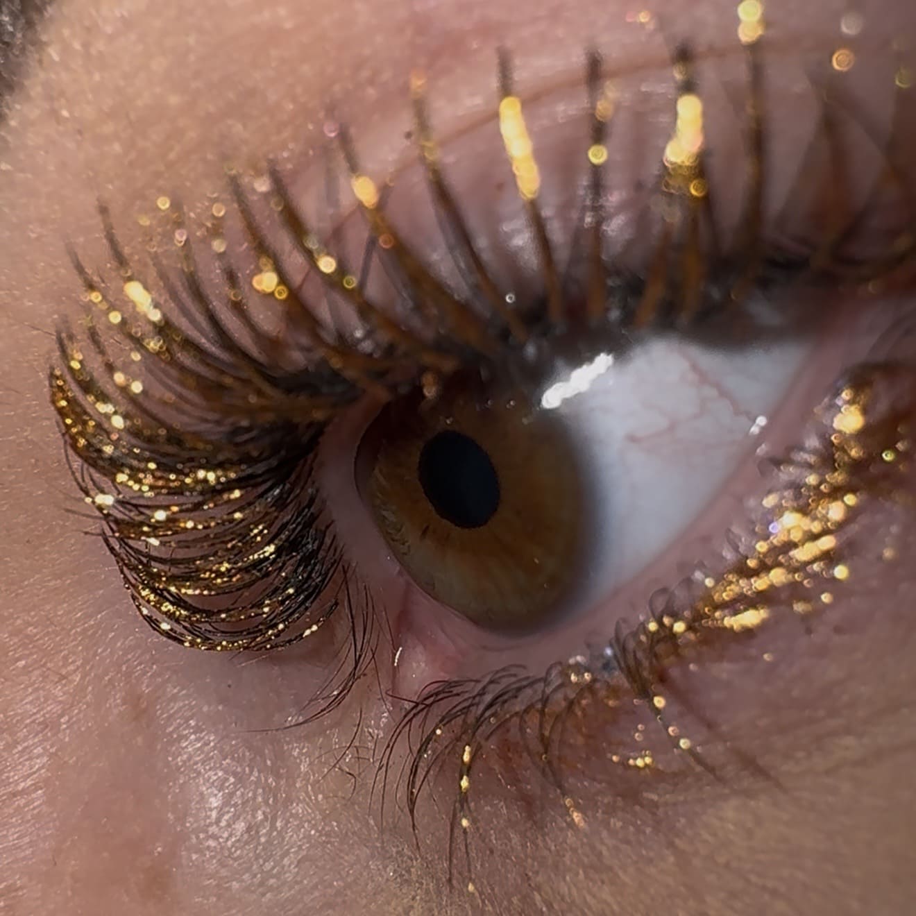 LashTrip™ - Monaco Royale