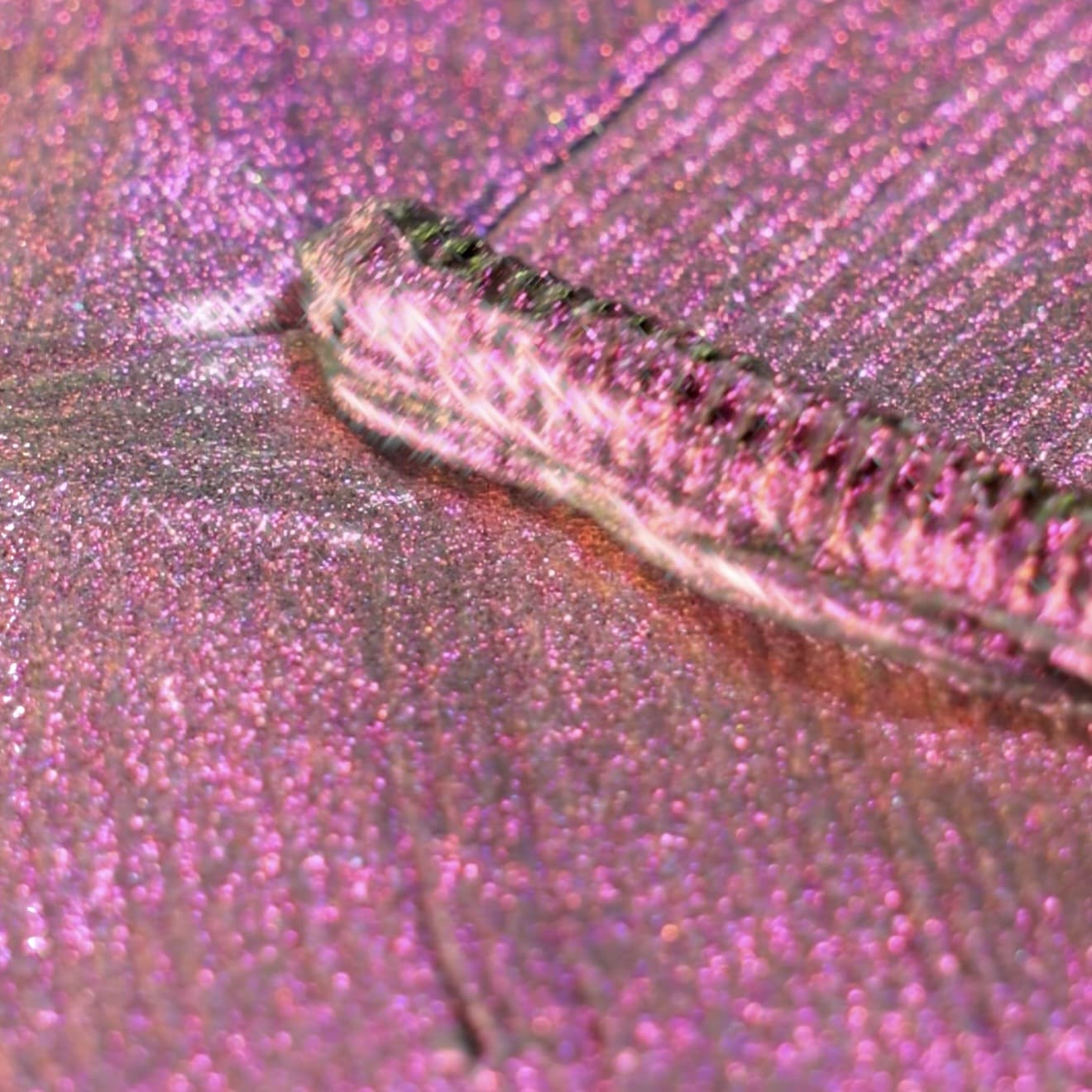 LashTrip™ - Miami Drift