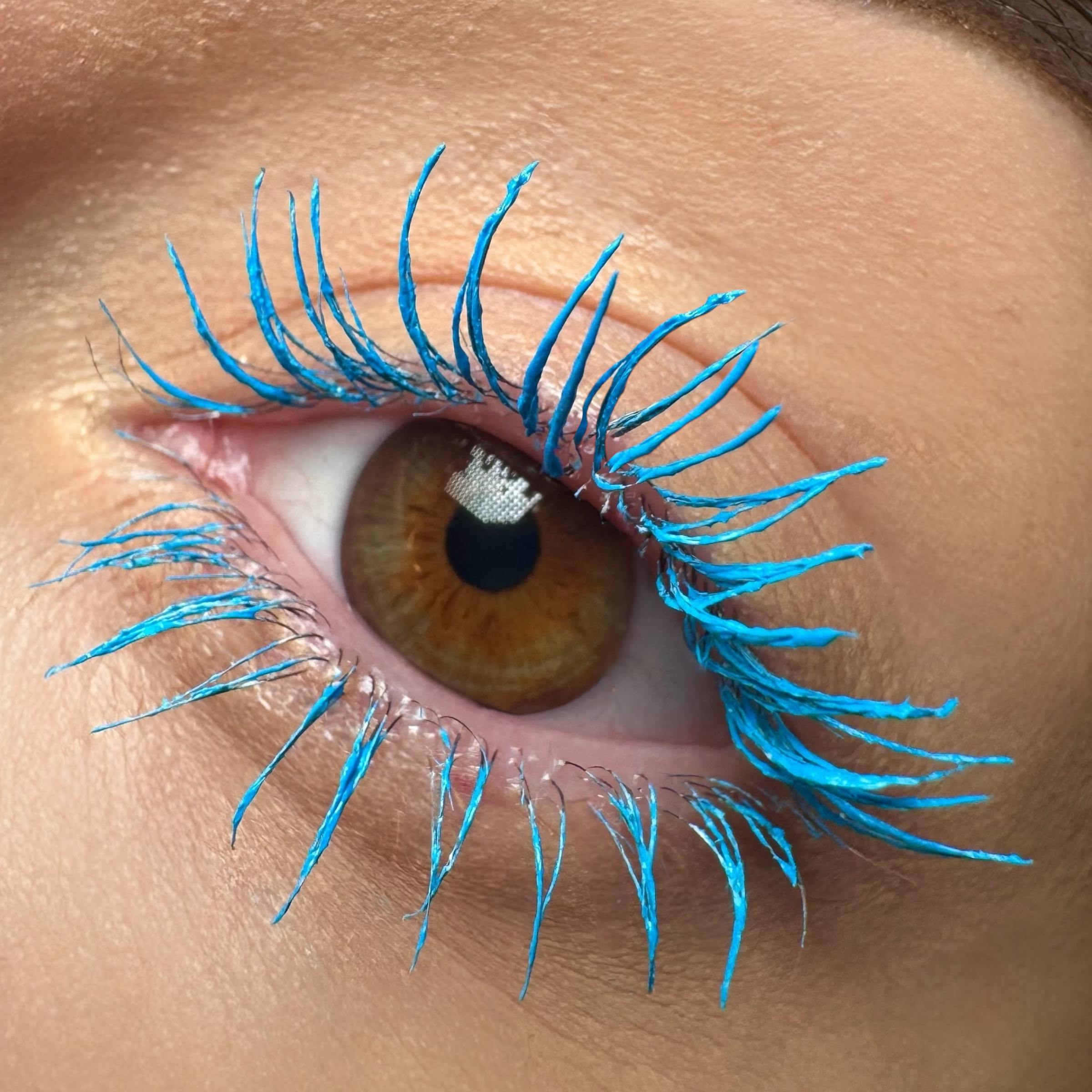 LashStudio - Airline Dream