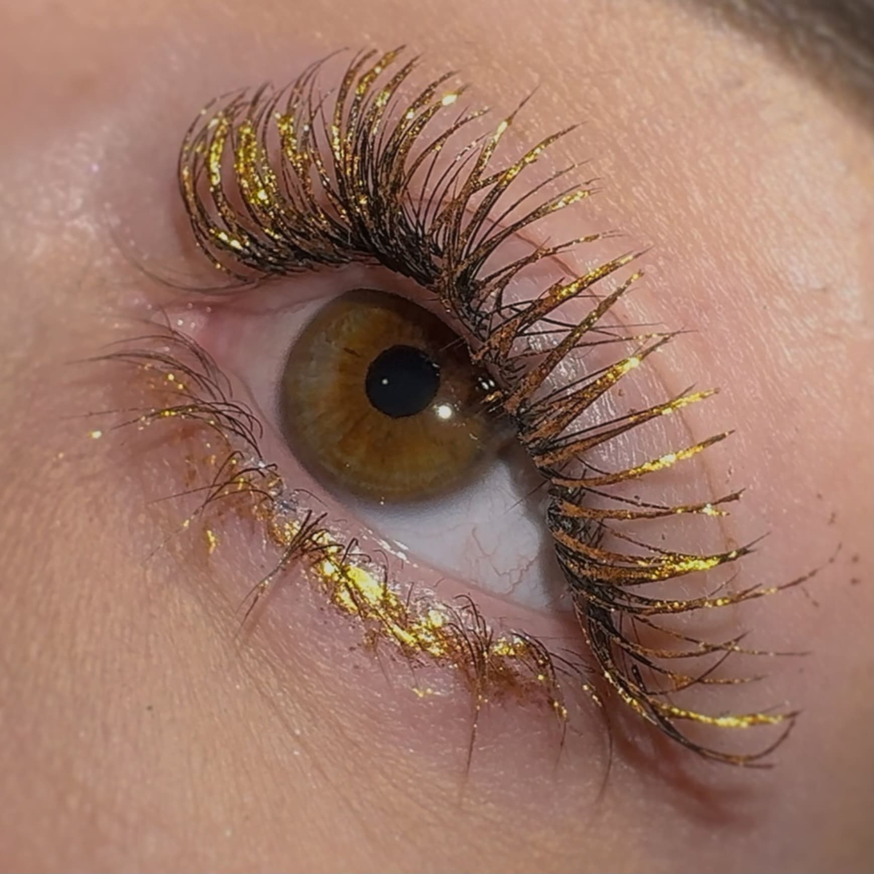 LashTrip™ - Monaco Royale