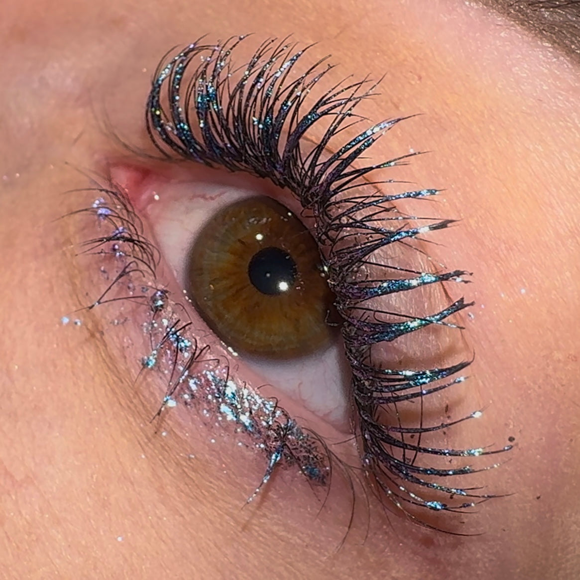 NEW LashTrip™ - Shanghai Horizon