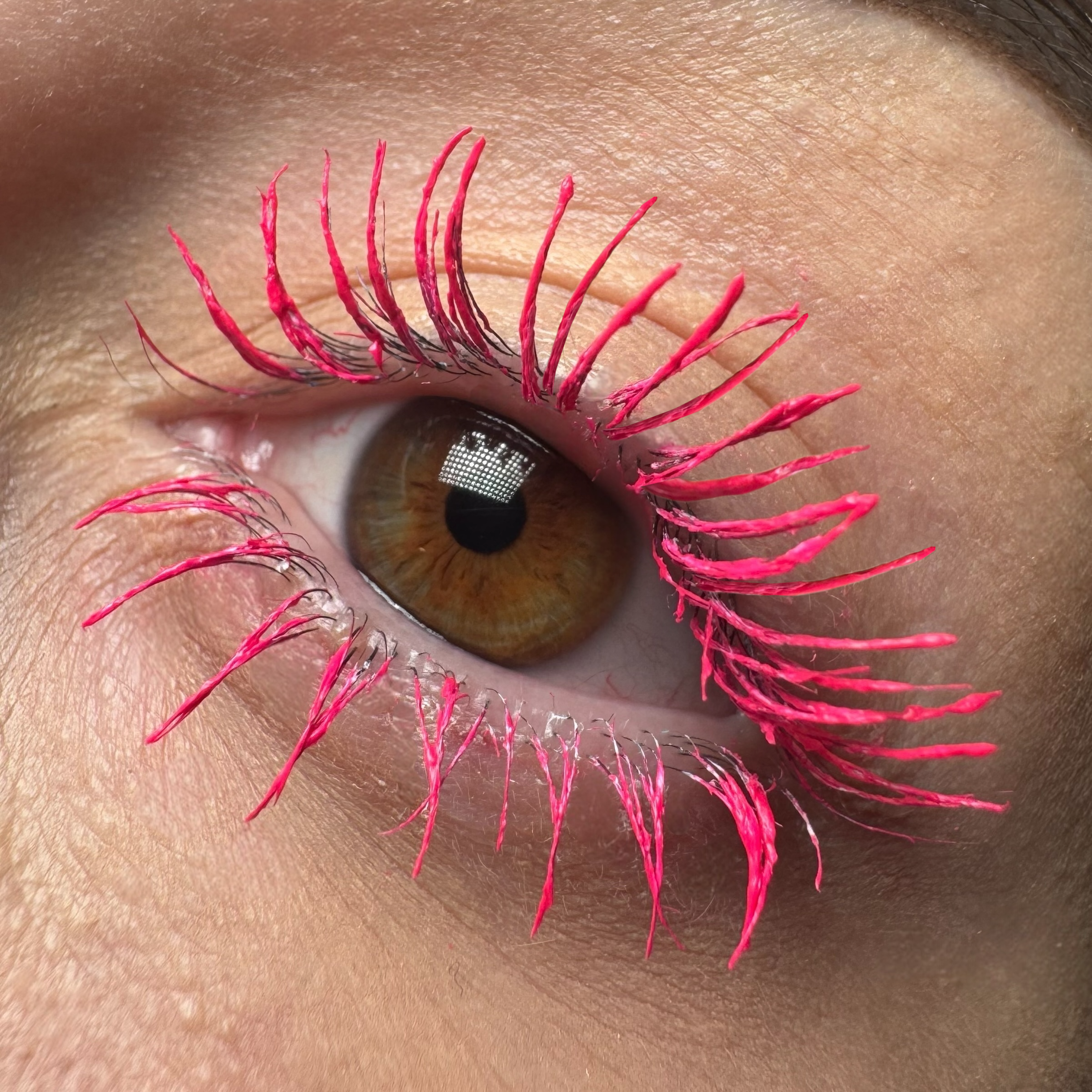 LashStudio™ - First Class