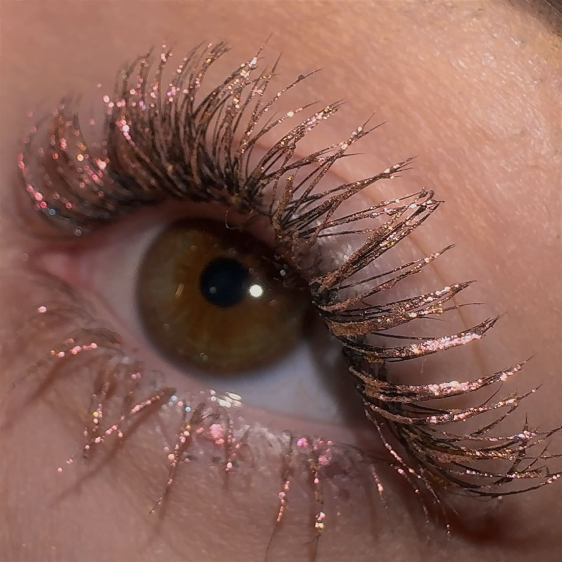 LashTrip™ - Medellin Wild