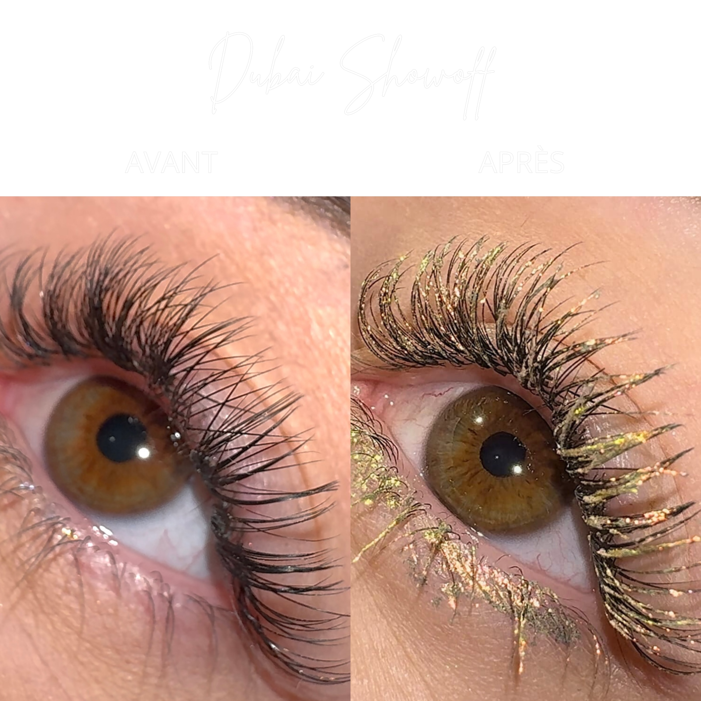 LashTrip™ - Dubai Showoff