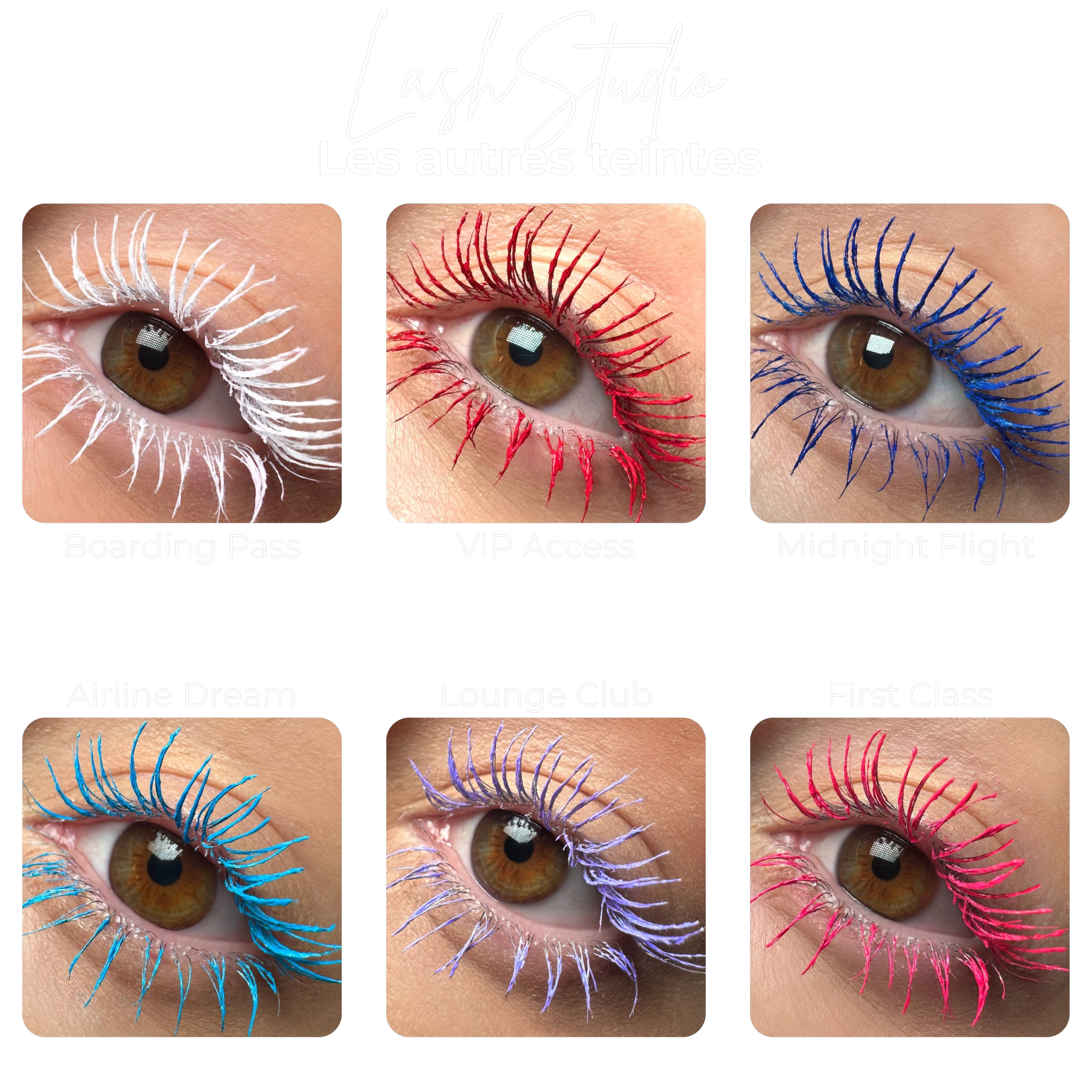 LashStudio™ - Business Class