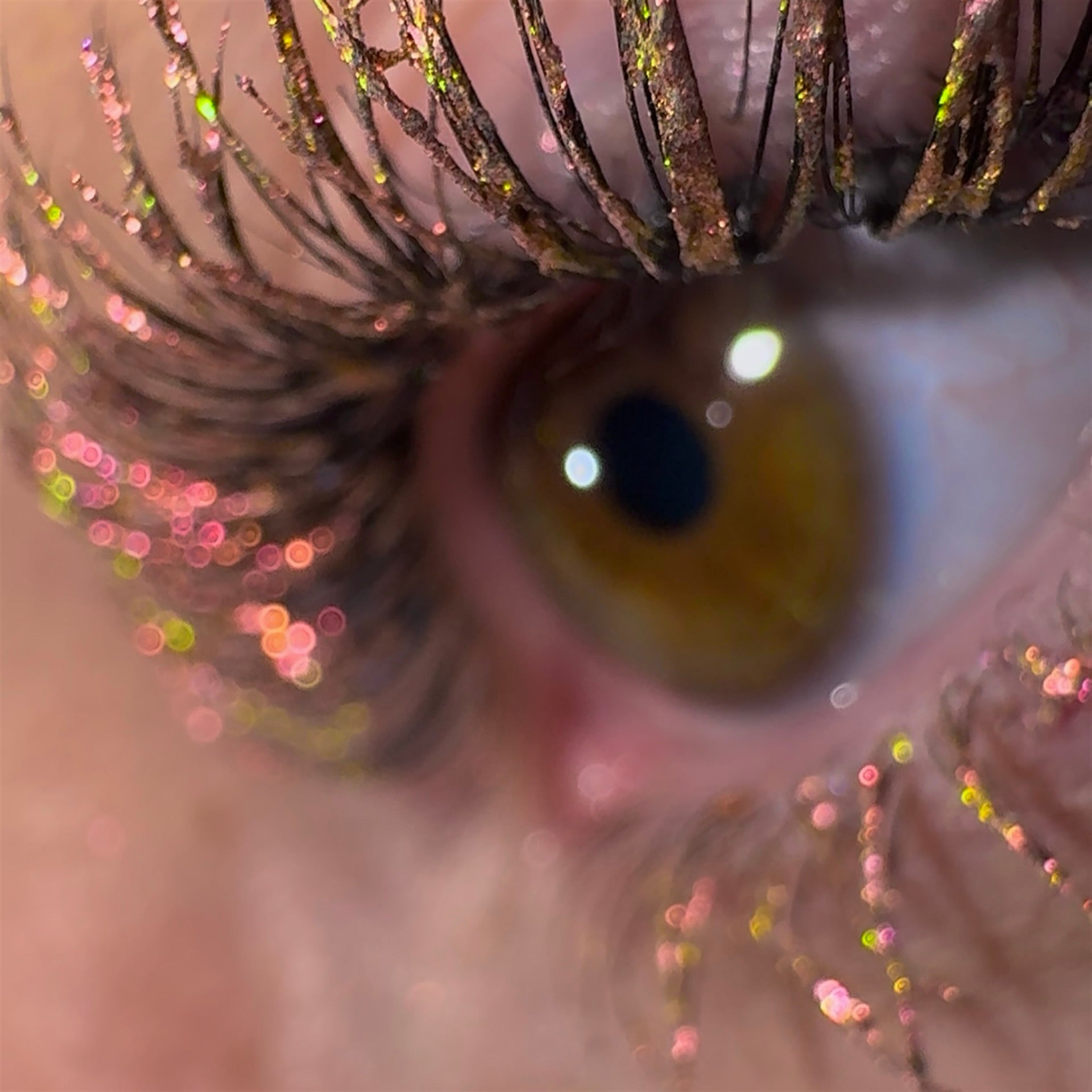 NEW LashTrip™ - Medellin Wild