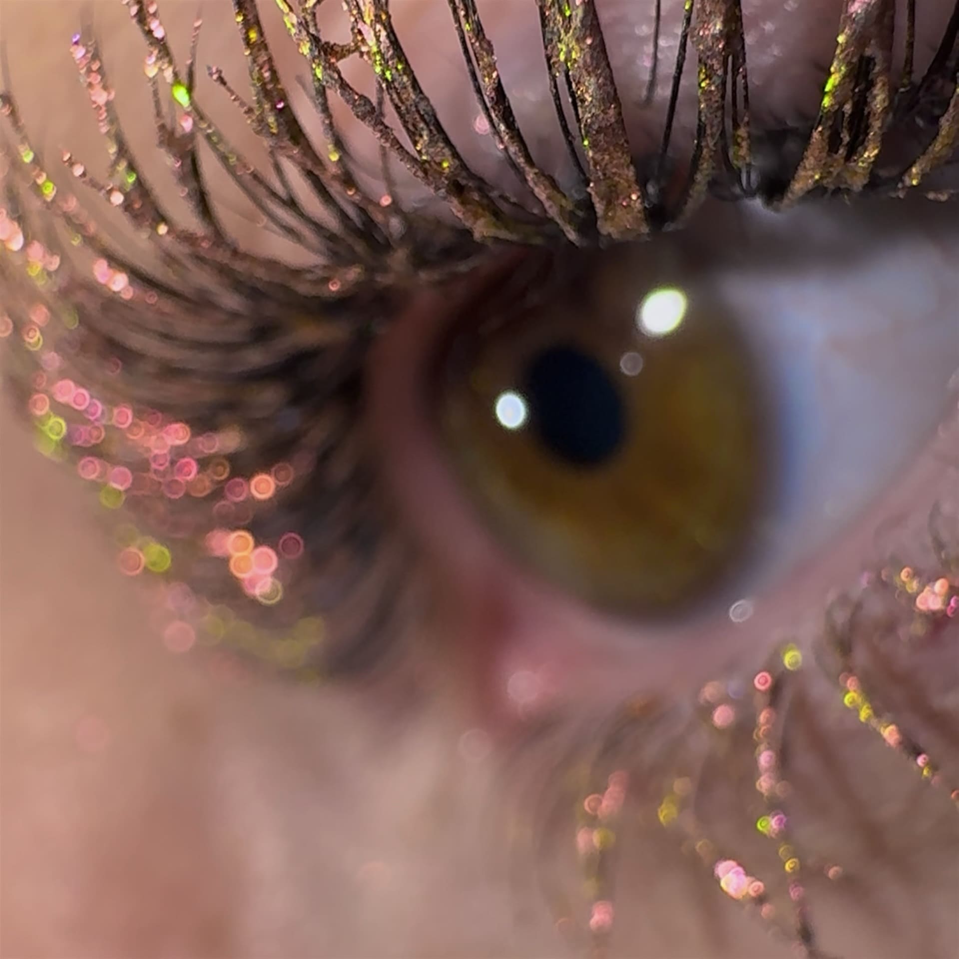 LashTrip™ - Medellin Wild