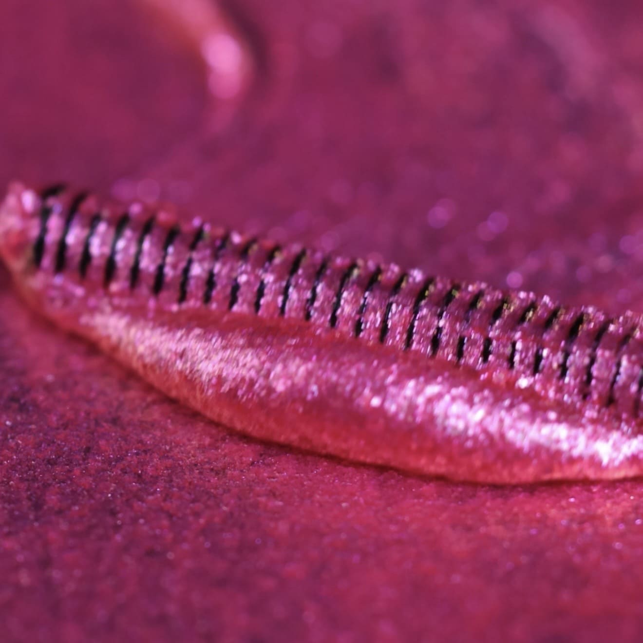 LashTrip™ - Ibiza Beach