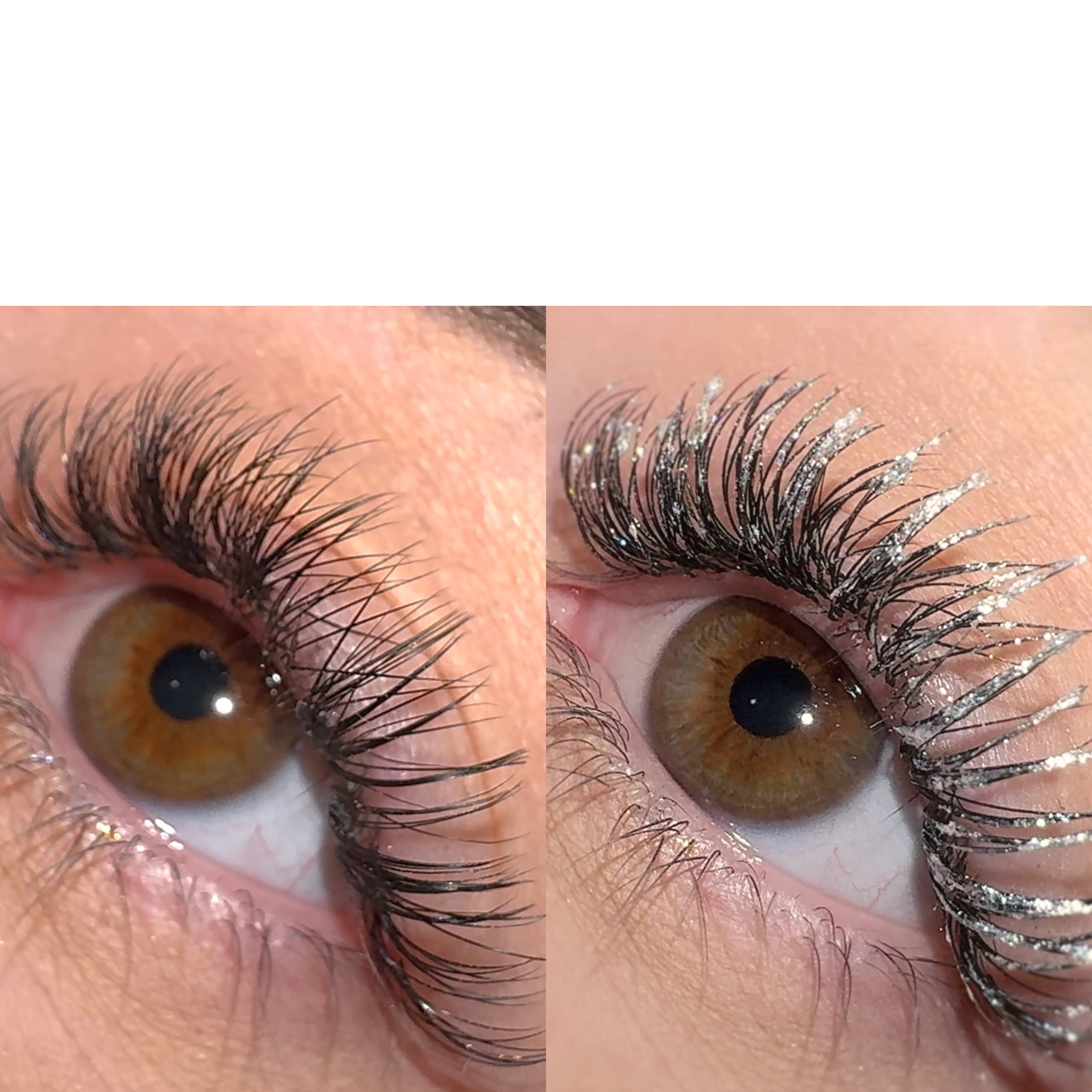 LashTrip™ - Berlin Steel