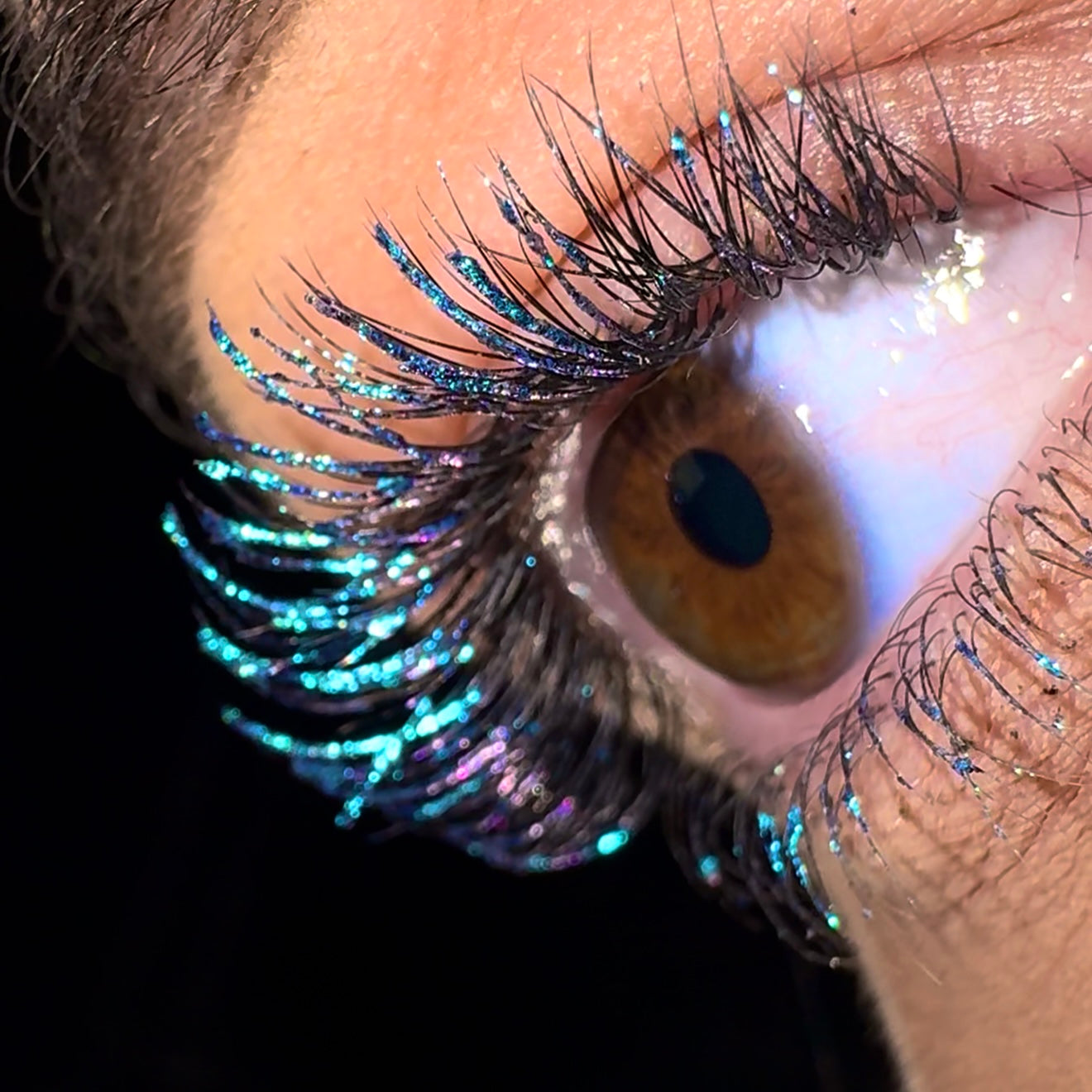 NEW LashTrip™ - Shanghai Horizon